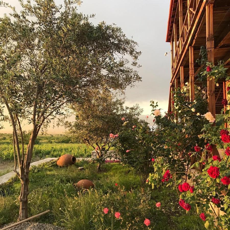 Elizbar Talakvadze Winery Farm stay Kardanakhi