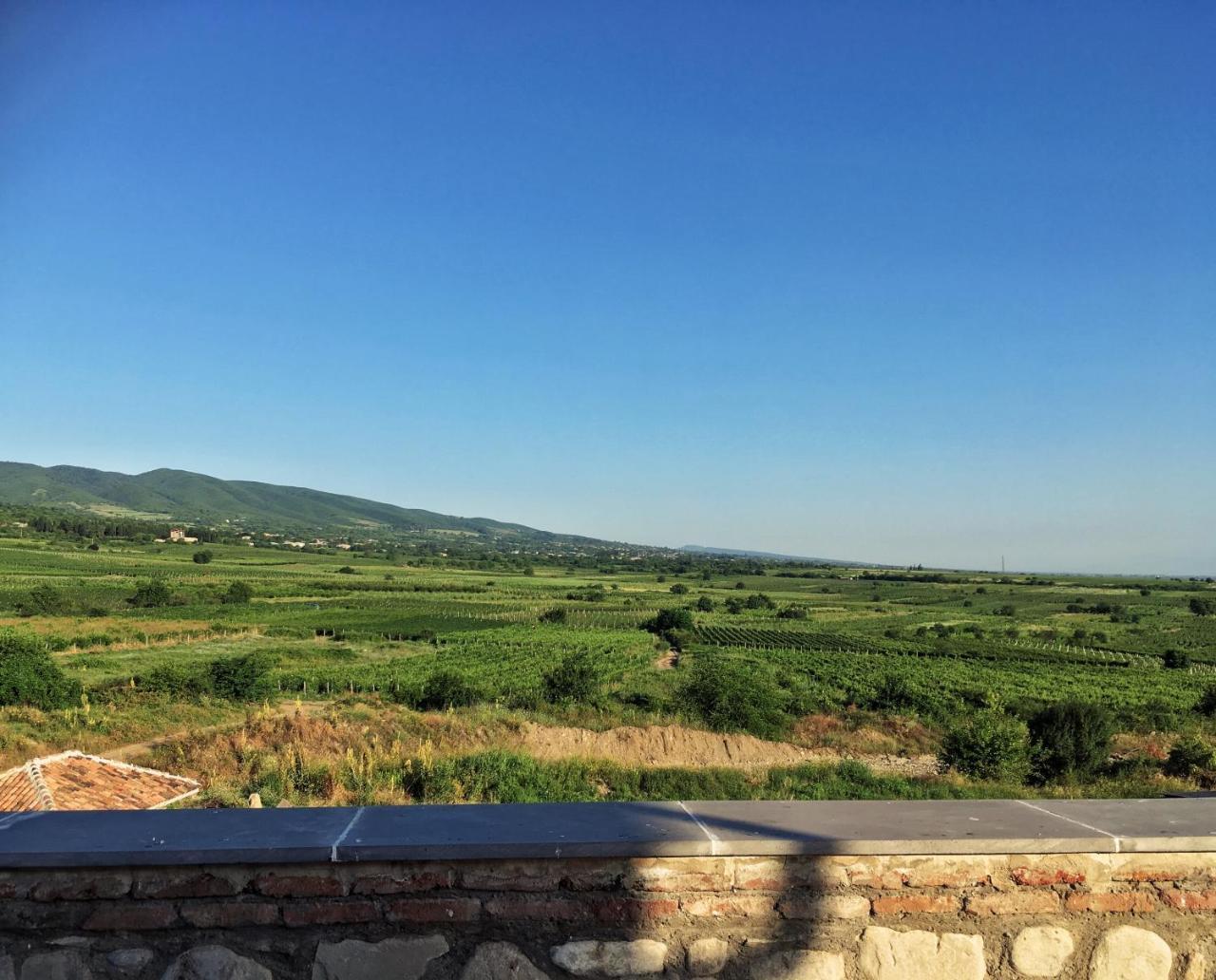 Elizbar Talakvadze Winery * Kardanakhi